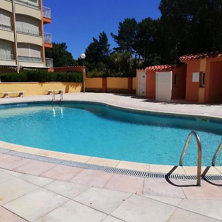 Joli Studio Cabine 4 Personnes A 300 M De La Plage Argelès-sur-Mer Dış mekan fotoğraf