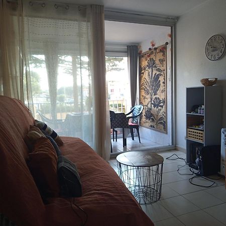Joli Studio Cabine 4 Personnes A 300 M De La Plage Argelès-sur-Mer Dış mekan fotoğraf