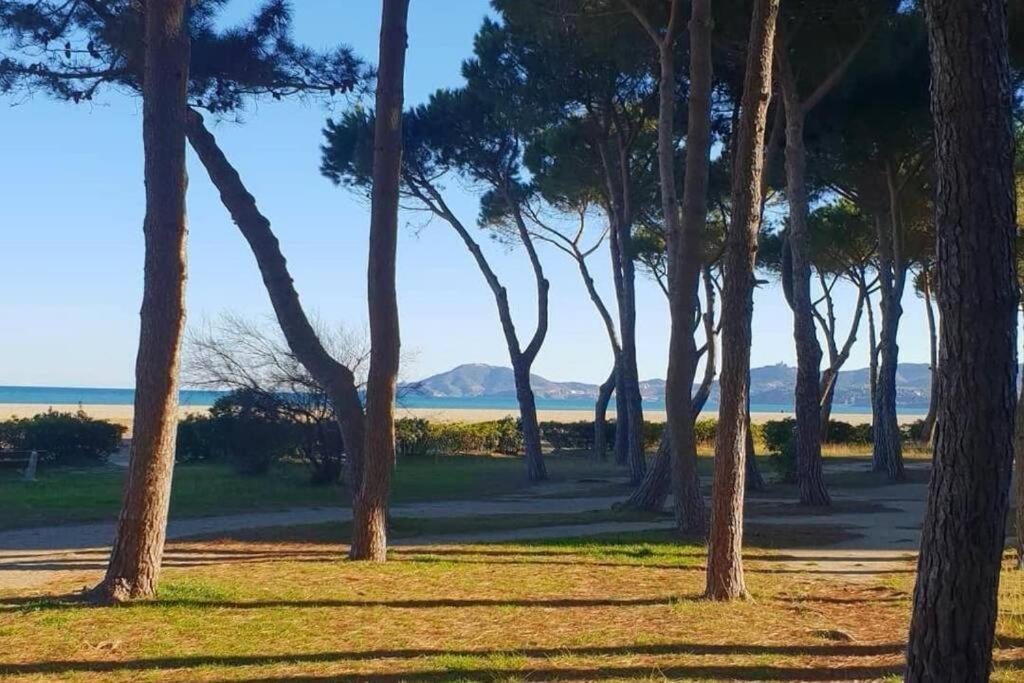 Joli Studio Cabine 4 Personnes A 300 M De La Plage Argelès-sur-Mer Dış mekan fotoğraf
